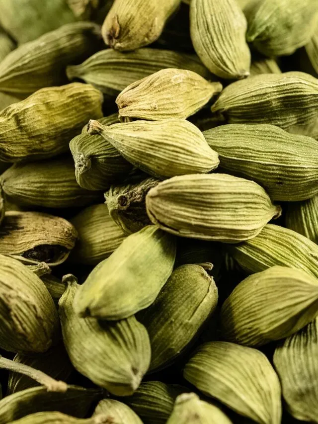 इलायची खाने के फायदे / आप भी जाने