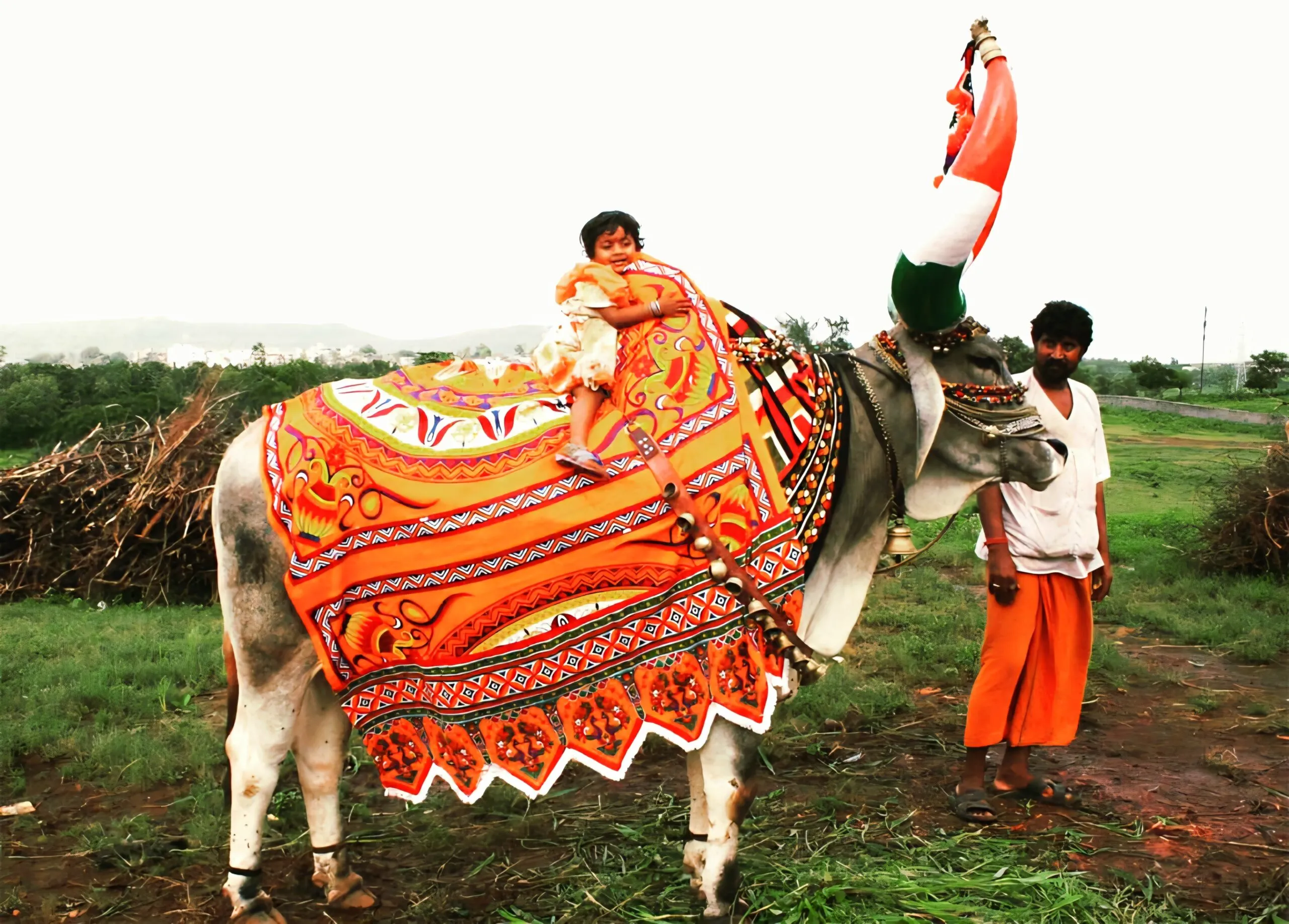 पोला महोत्सव