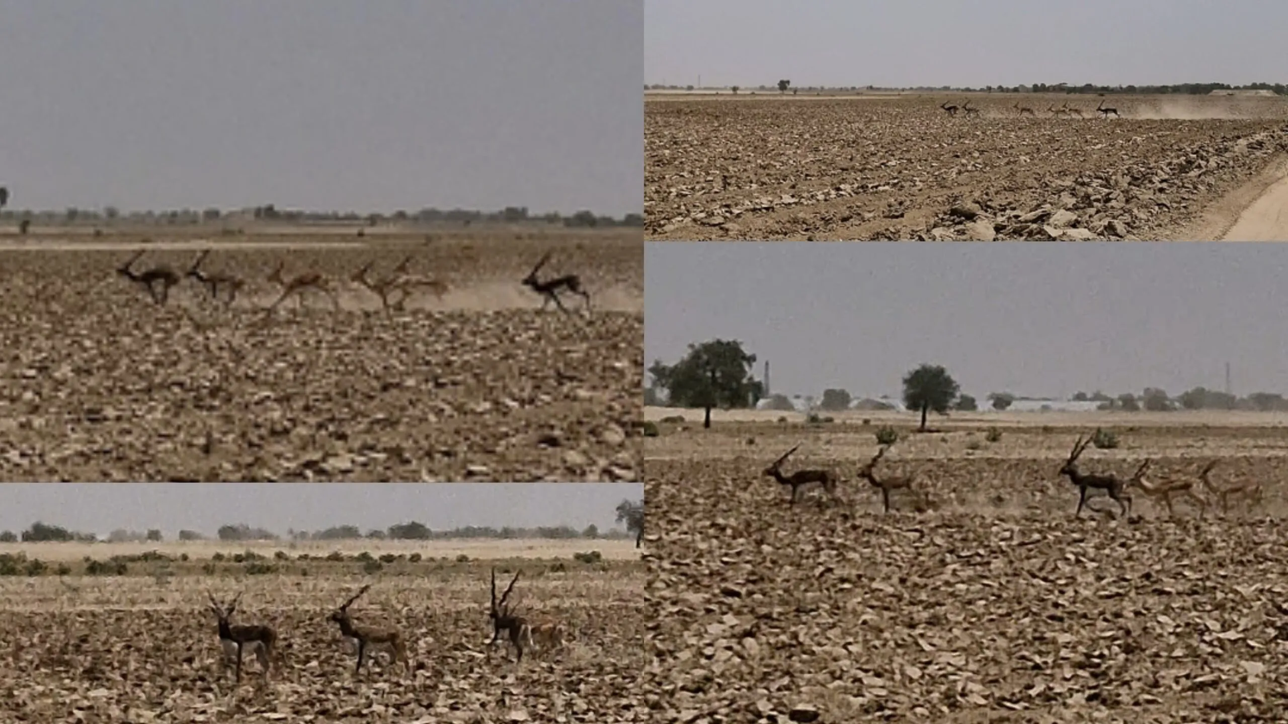 20260530 233706 Scaled